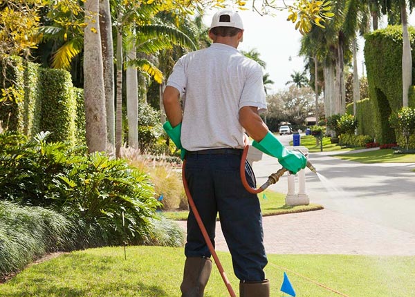 About Gasquet CA Pest Control